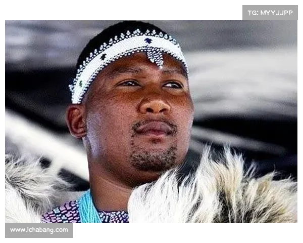 马梅洛迪日落种族和解赛曼德拉家族出席见证历史时刻 马梅洛迪日落种族和解赛曼德拉家族出席见证历史时刻